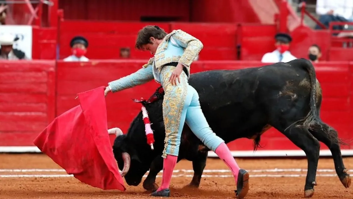 Avanza reforma para corridas de toros "sin sangre ni dolor" en CDMX