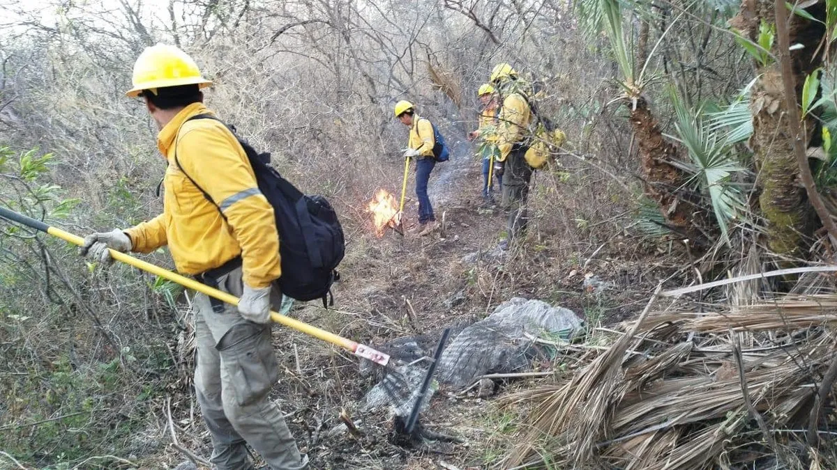 Suman 105 hectáreas afectadas por incendio forestal en Iguala, Guerrero