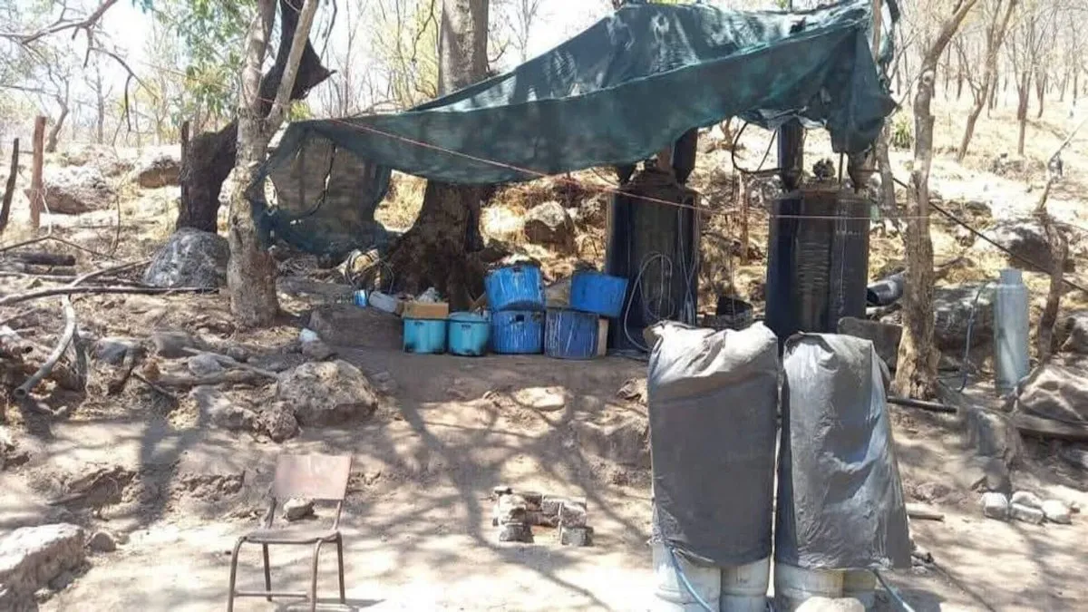 Defensa desactiva narcolaboratorio en Coyuca de Catalán y destruye plantíos de droga en 6 estados