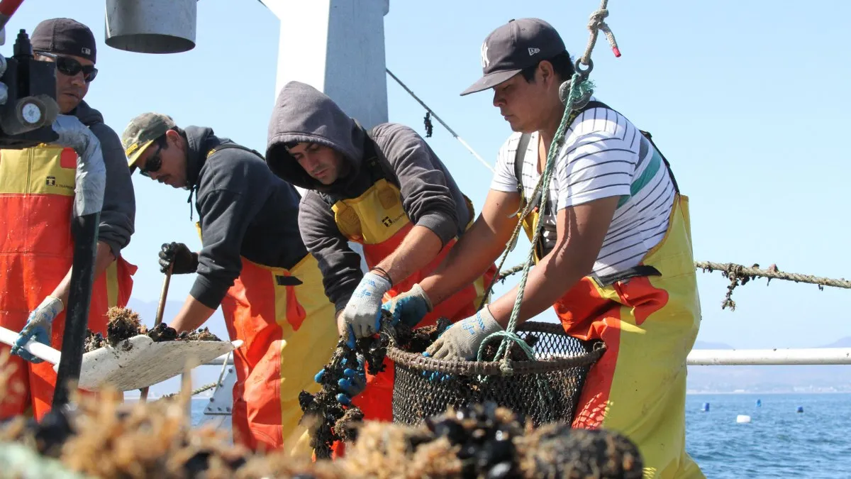 Convocan a participar en el Premio a la Pesca y Acuacultura Sustentables 2025