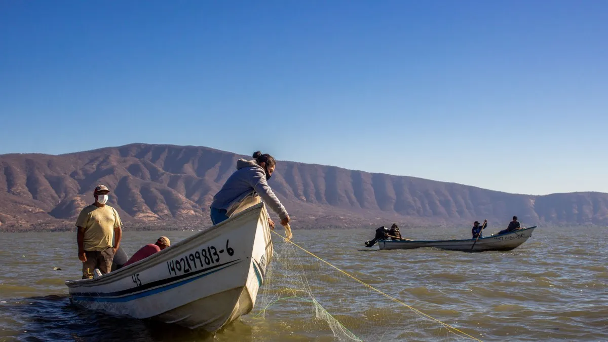 Sader establece periodos de veda y aprovechamiento de pesca a partir de abril