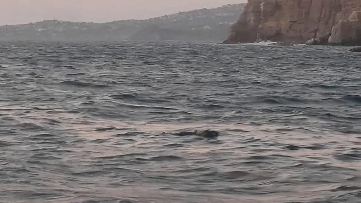 Hallan cuerpo decapitado flotando frente a Sinfonía del Mar de Acapulco