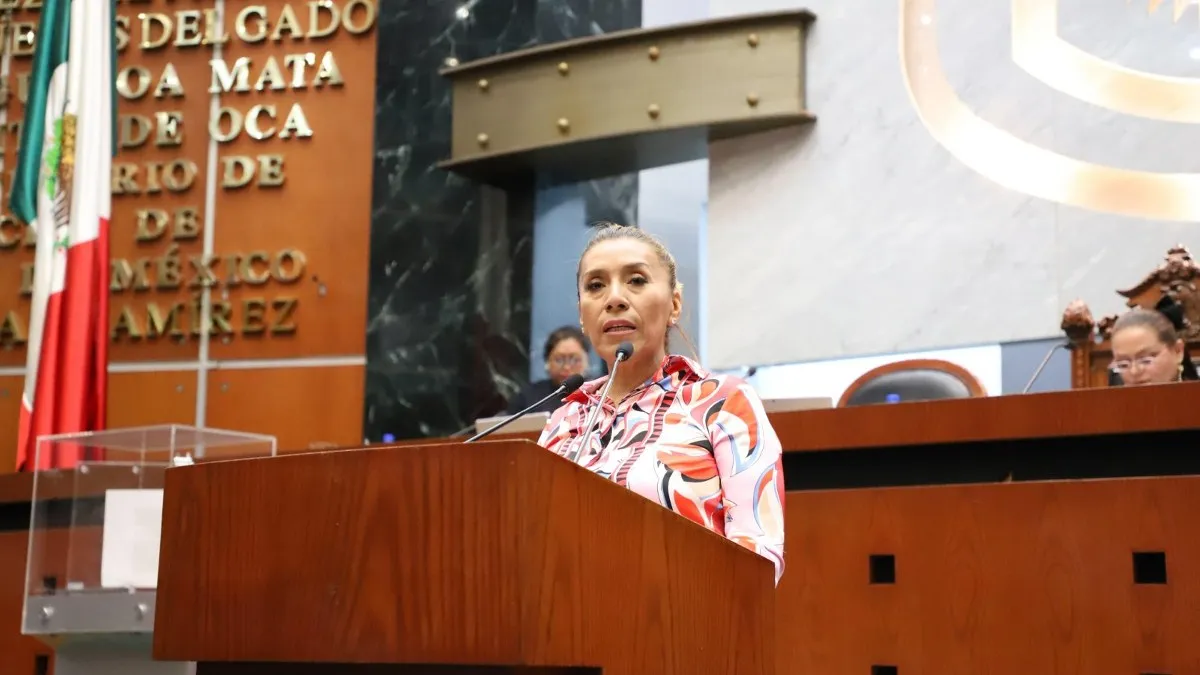 Diputada Araceli Ocampo pide fortalecer protección a víctimas de violaciones de derechos humanos