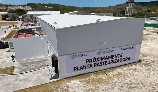 Presidenta pone en marcha el Programa Leche para el Bienestar en Campeche