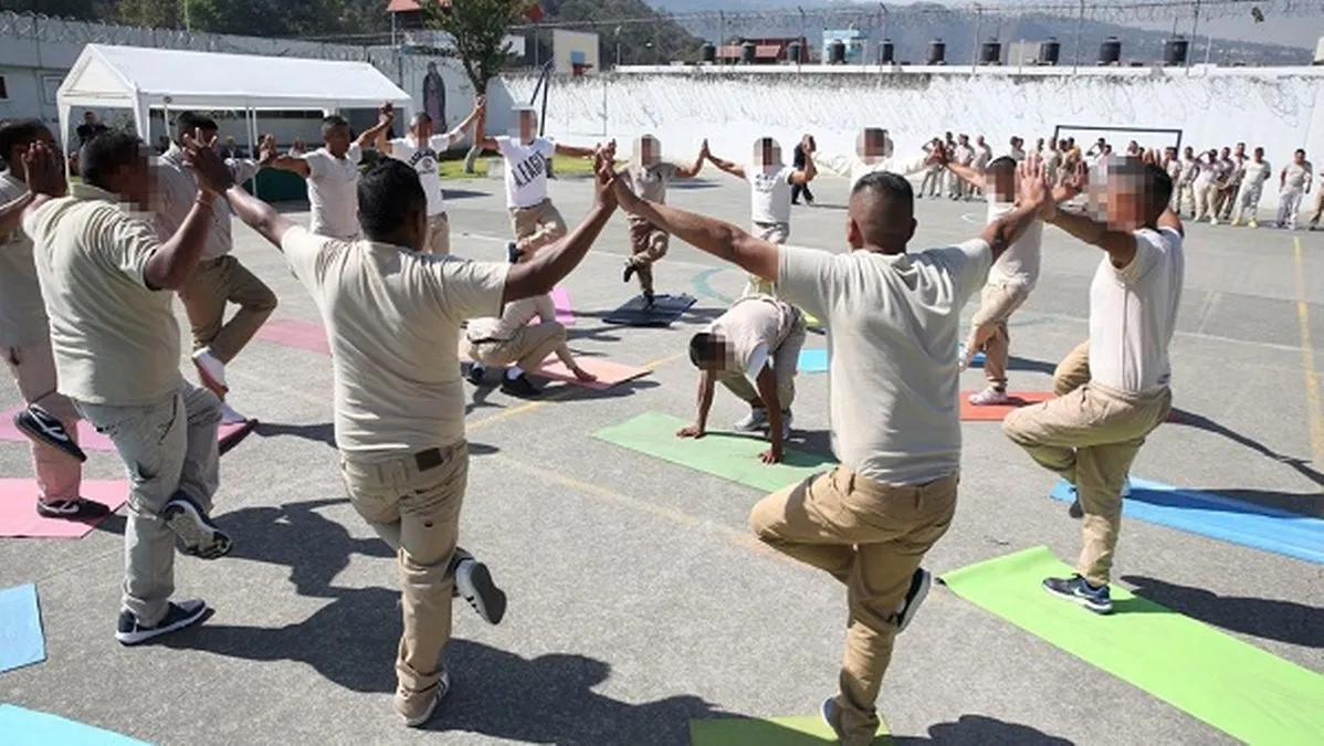 Programas de reintegración social deben incluir salud mental, educación y capacitación laboral