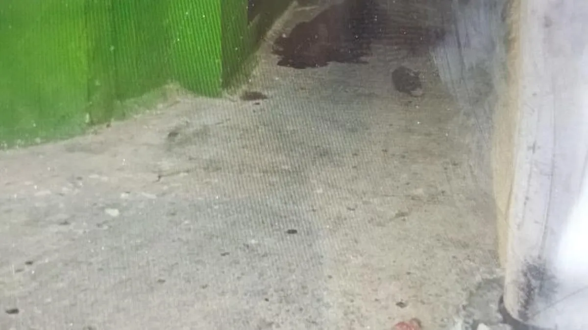 Hombre es asesinado a balazos en el barrio de La Guinea en Acapulco