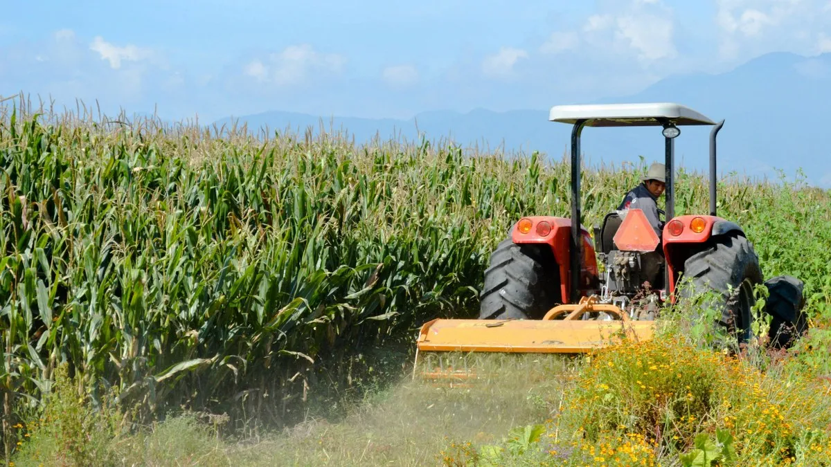 Agricultura mexicana.