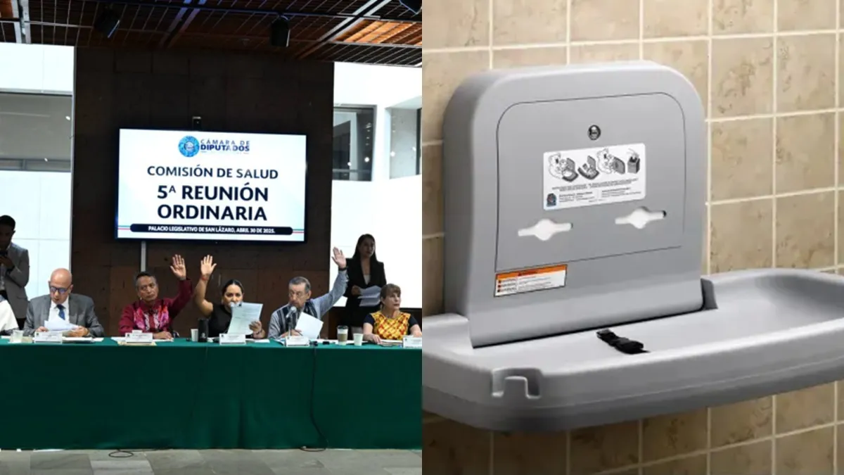 Comisión de Salud, Cámara de Diputados.
