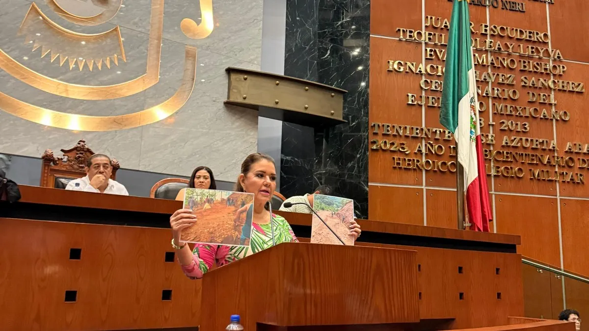 Diputada Erika Lührs exhorta a la SICT a priorizar los caminos de la Montaña de Guerrero