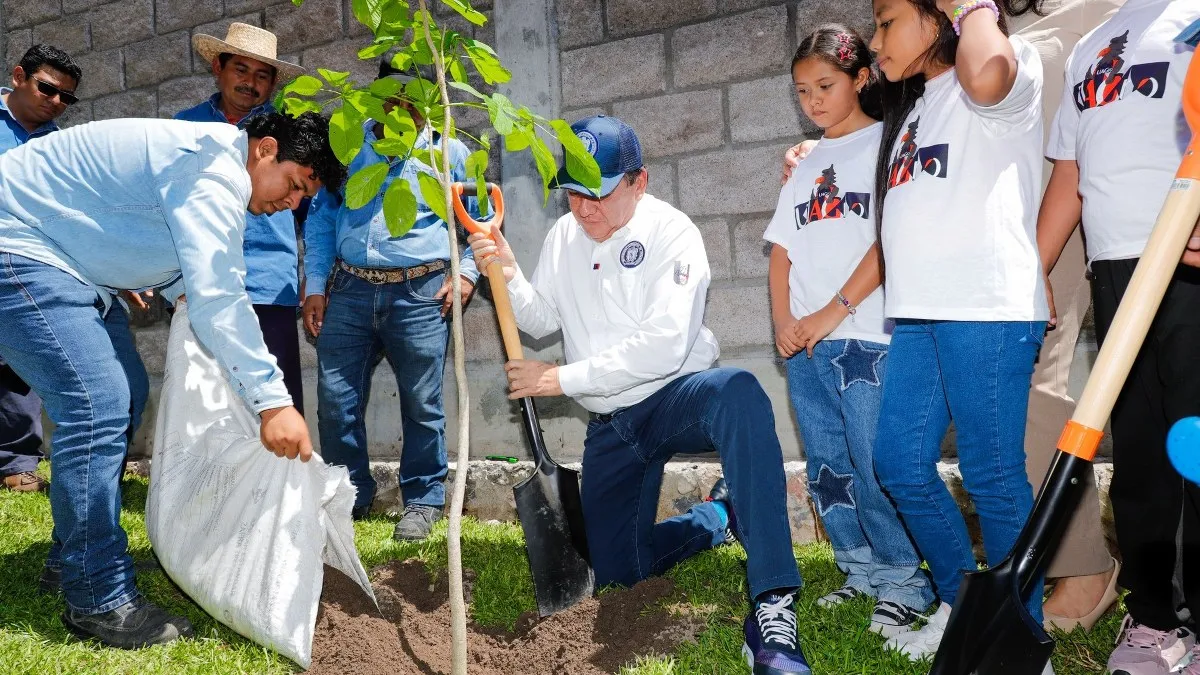 UAGro inicia campaña de reforestación 2025 con meta de 90 mil árboles