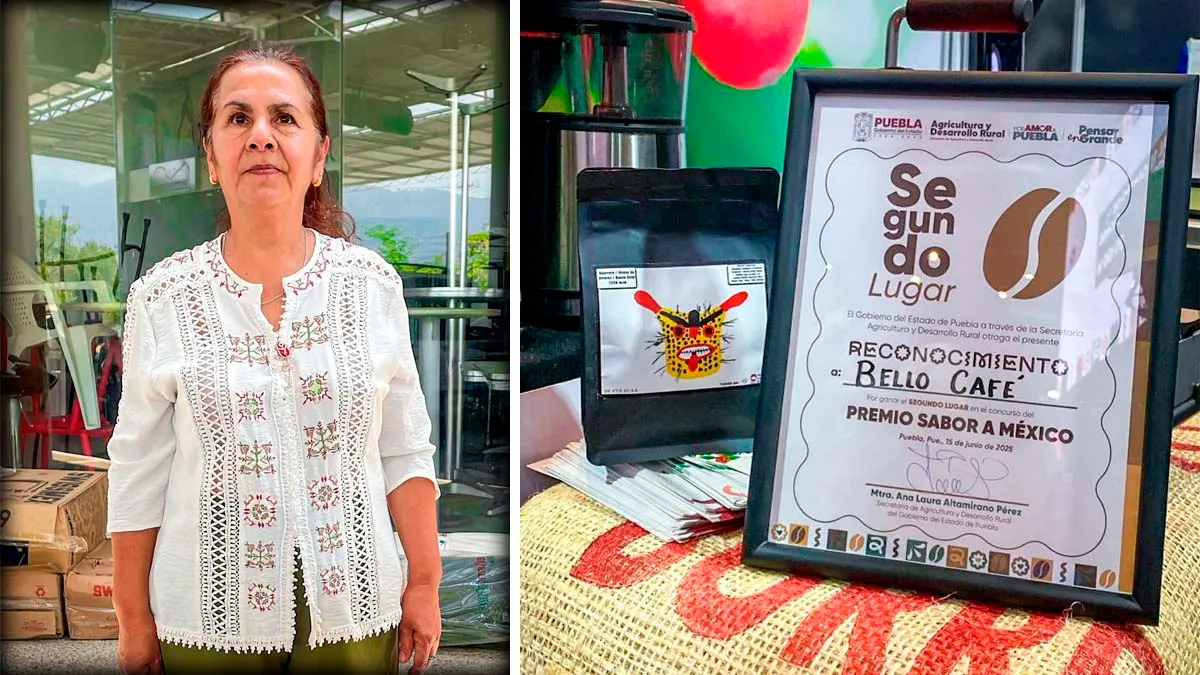 Café guerrerense obtiene segundo lugar nacional en concurso “Sabor a México 2025”