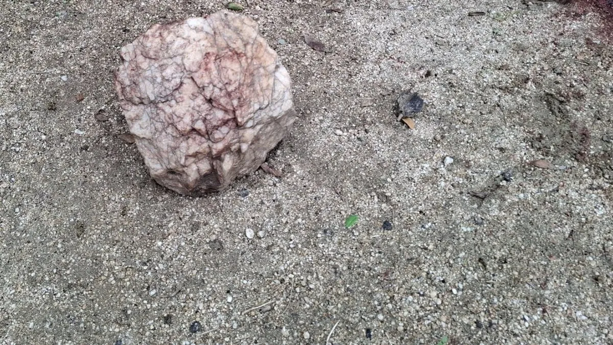 Hallan cuerpo lapidado y torturado en la zona rural de Acapulco