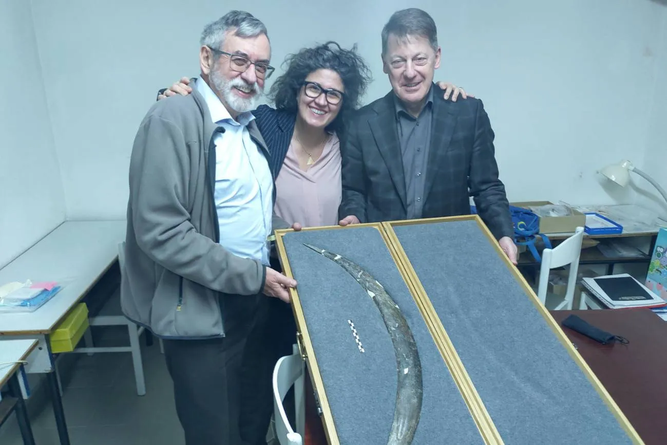 Hallan en Polonia un bumerán de colmillo de mamut tallado hace 40 mil años