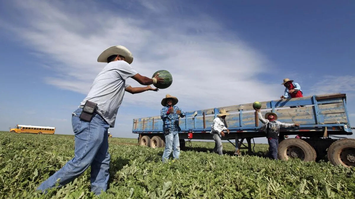 Trump ordena pausar redadas migratorias en agricultura, hoteles y restaurantes