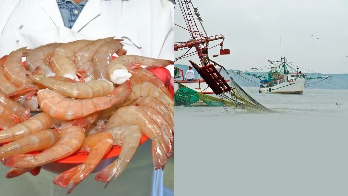 Pesca, periodos de veda.