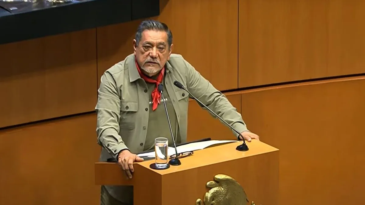 Senador Félix Salgado Macedonio.