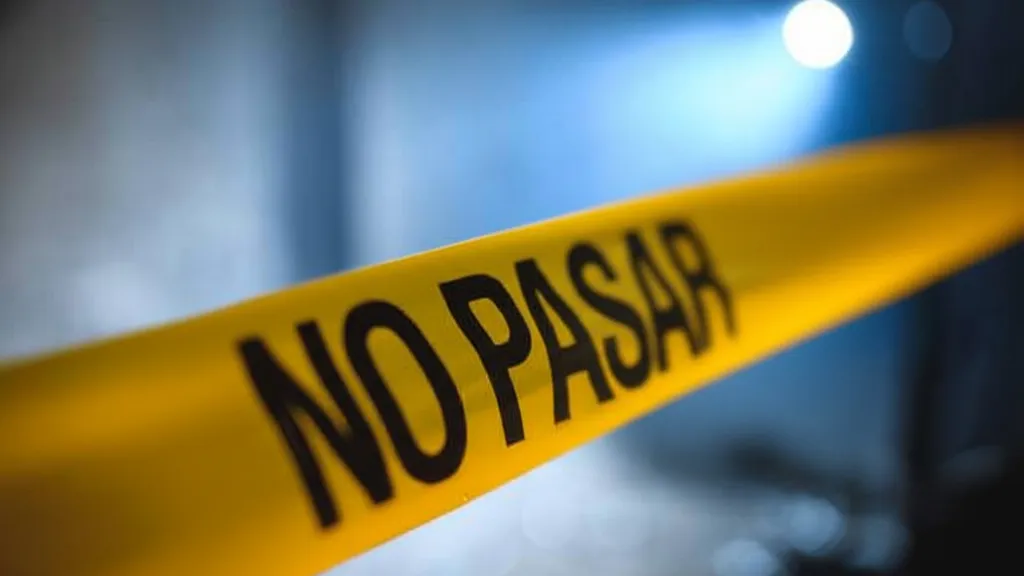 Hallan a dos personas asesinadas dentro de un auto frente al corralón de Acapulco
