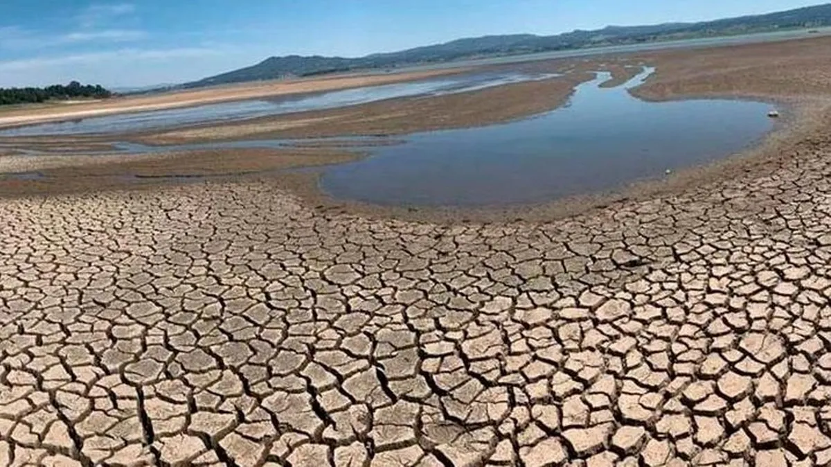 ONU advierte de daños humanos y económicos sin precedentes entre 2023 y 2025 por sequía global