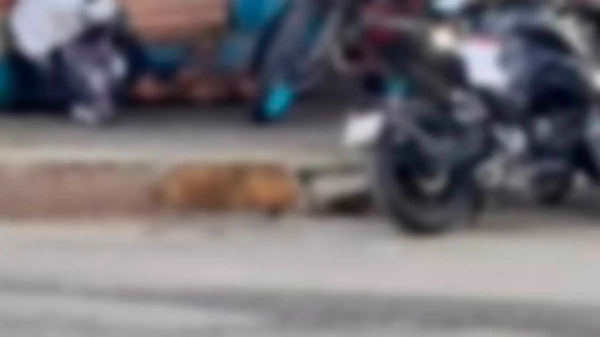 Violencia en Acapulco: ejecutan a dos en taller de motocicletas de la Zapata