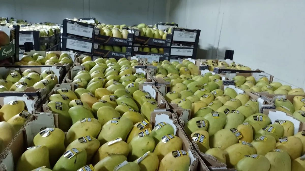 Guerrero encabeza crecimiento económico en primer trimestre de 2025, según INEGI