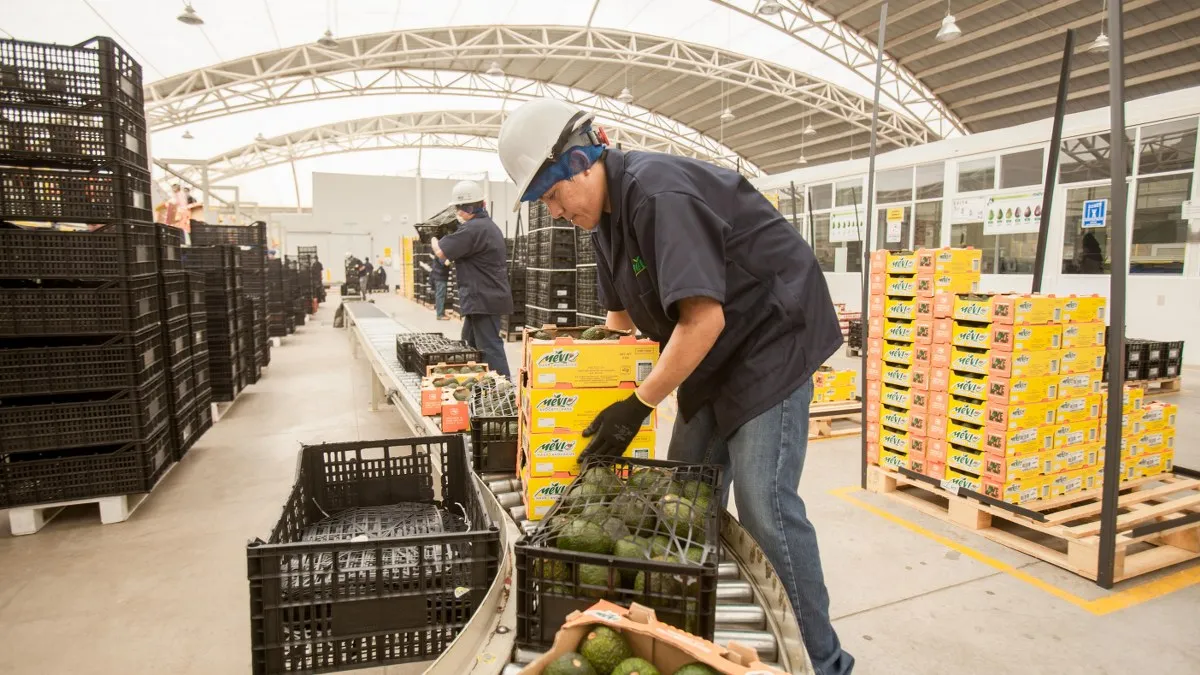 El narco impone precios en Edomex y provoca inflación en canasta básica