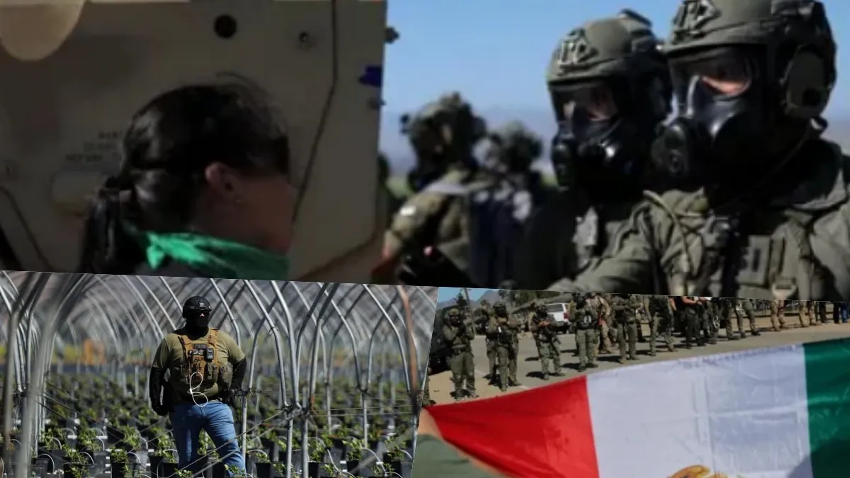 Patrulla Fronteriza realiza mega redada contra migrantes en granjas agrícolas de California