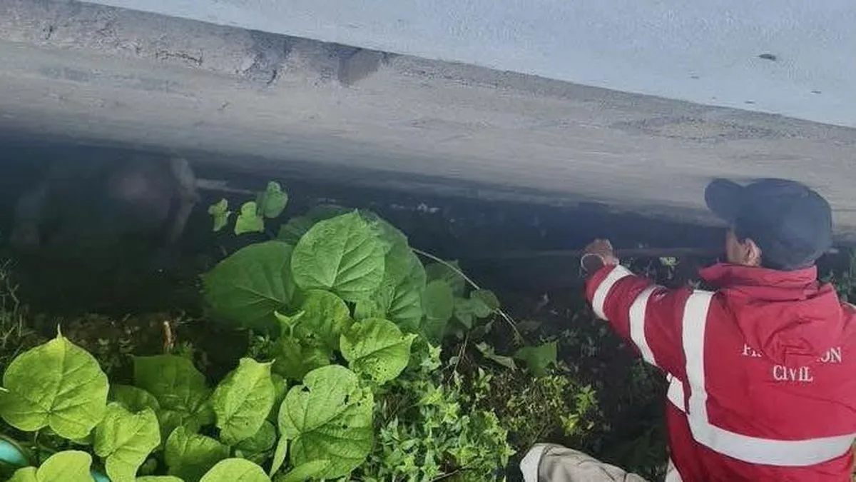 Rescatan a hombre tras caer en zanja de cinco metros en Taxco