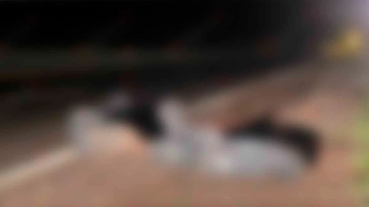 Hallan bolsas con restos humanos en la Autopista del Sol, en Chilpancingo