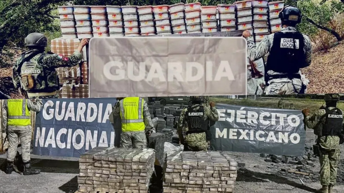 Gobierno incauta más de 4 mil kilos de metanfetaminas en acciones en Ensenada y Tampico