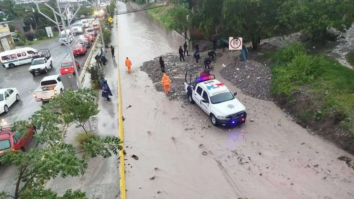 Lluvias generan caída de árboles, deslaves e inundaciones en Chilpancingo