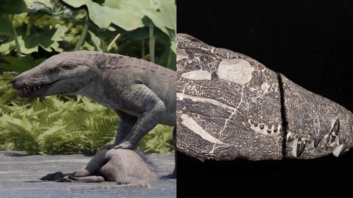 Científicos presentan al 'Kostensuchus atrox', un superdepredador que fue el terror de los dinosaurios