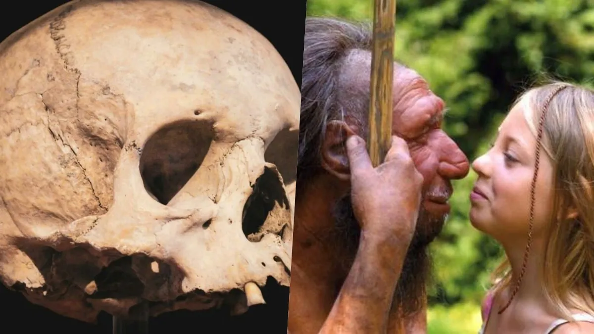 Humanos modernos somos una infiltración genética de neandertales y sapiens, revela estudio