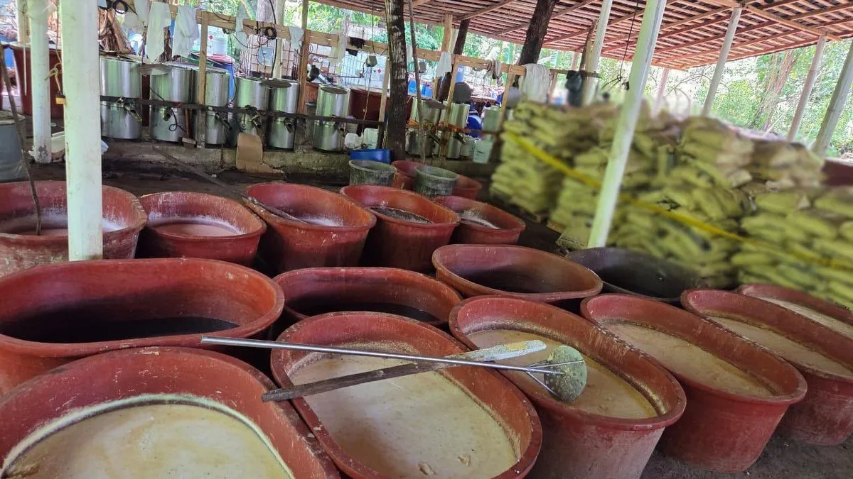 Aseguran en Zirándaro, Guerrero, más de 4 toneladas y 7 mil litros de sustancias químicas para droga