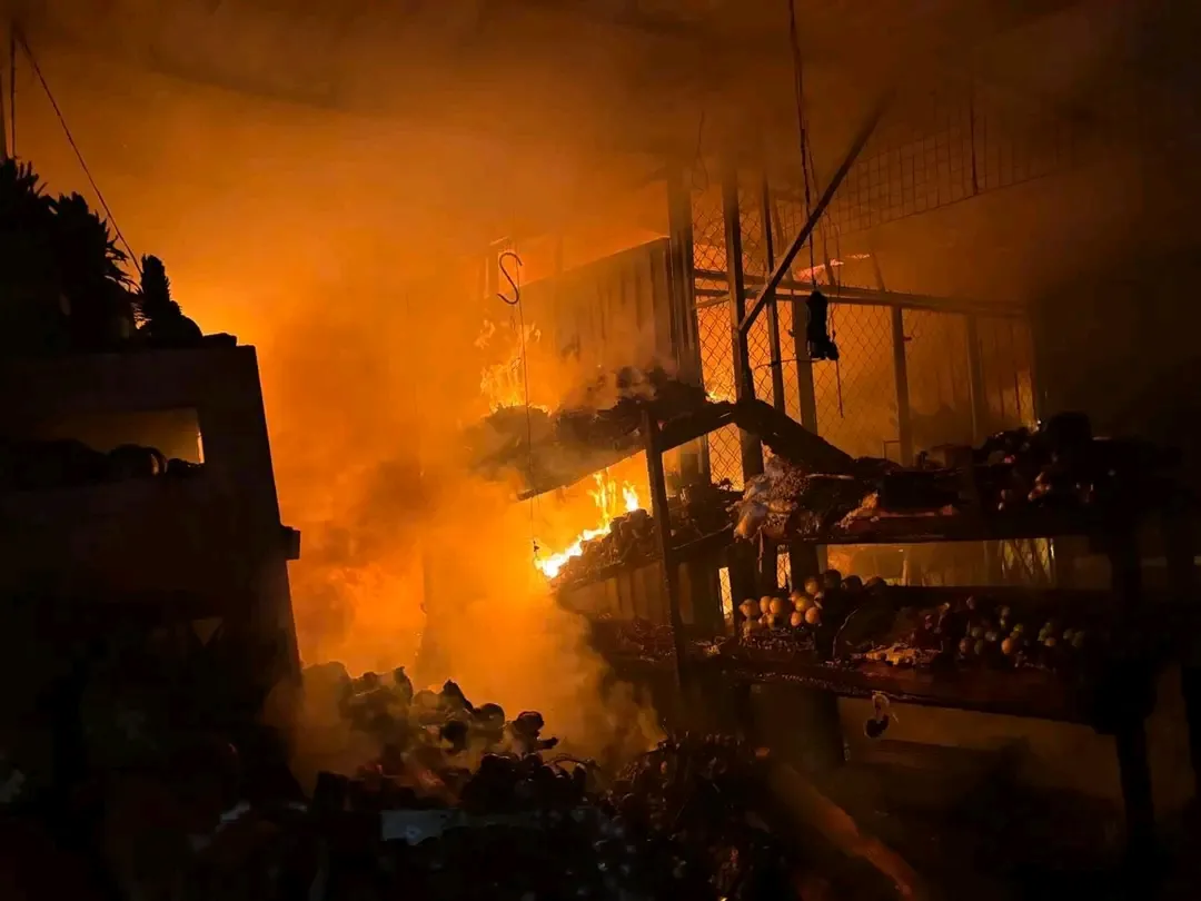 Incendio en mercado Baltazar R. Leyva destruye siete locales en Chilpancingo