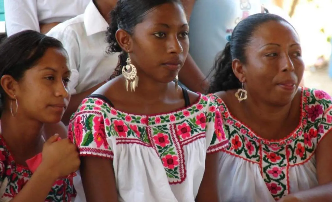 La representación afromexicana: entre la dignidad y la responsabilidad