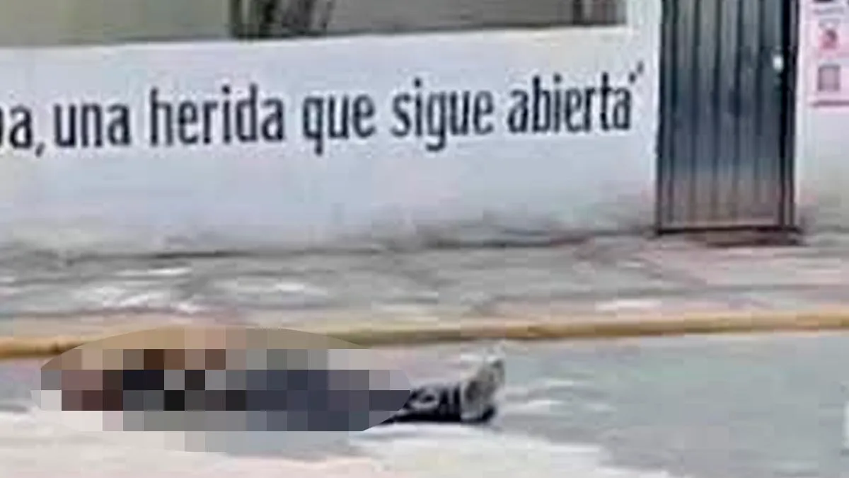 Asesinan a joven a balazos frente al Parque Margarita Maza en Chilpancingo