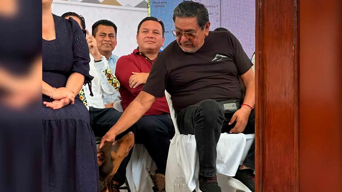 Yo no soy chapulín, me quedo en Morena: Félix Salgado