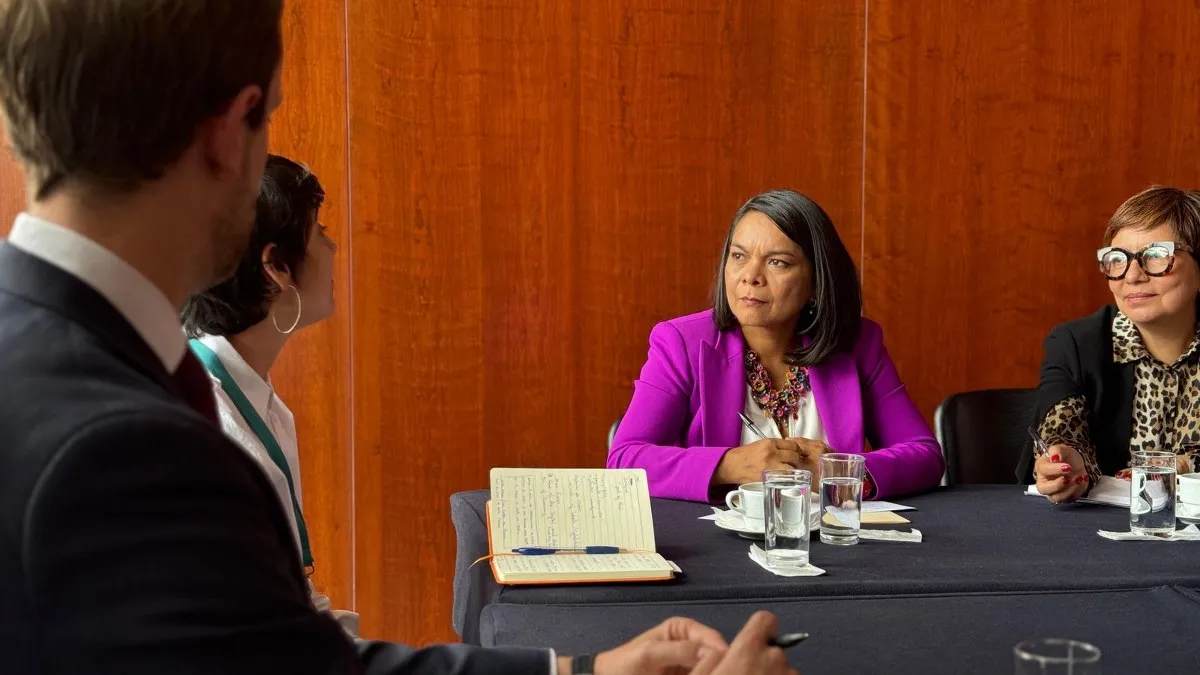 Beatriz Mojica aborda con Asociación de Medios Digitales impacto cultural del streaming