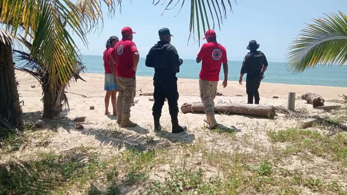 Liberan en Marquelia, Guerrero, a dos tortugas atrapadas en cables de trasmallo