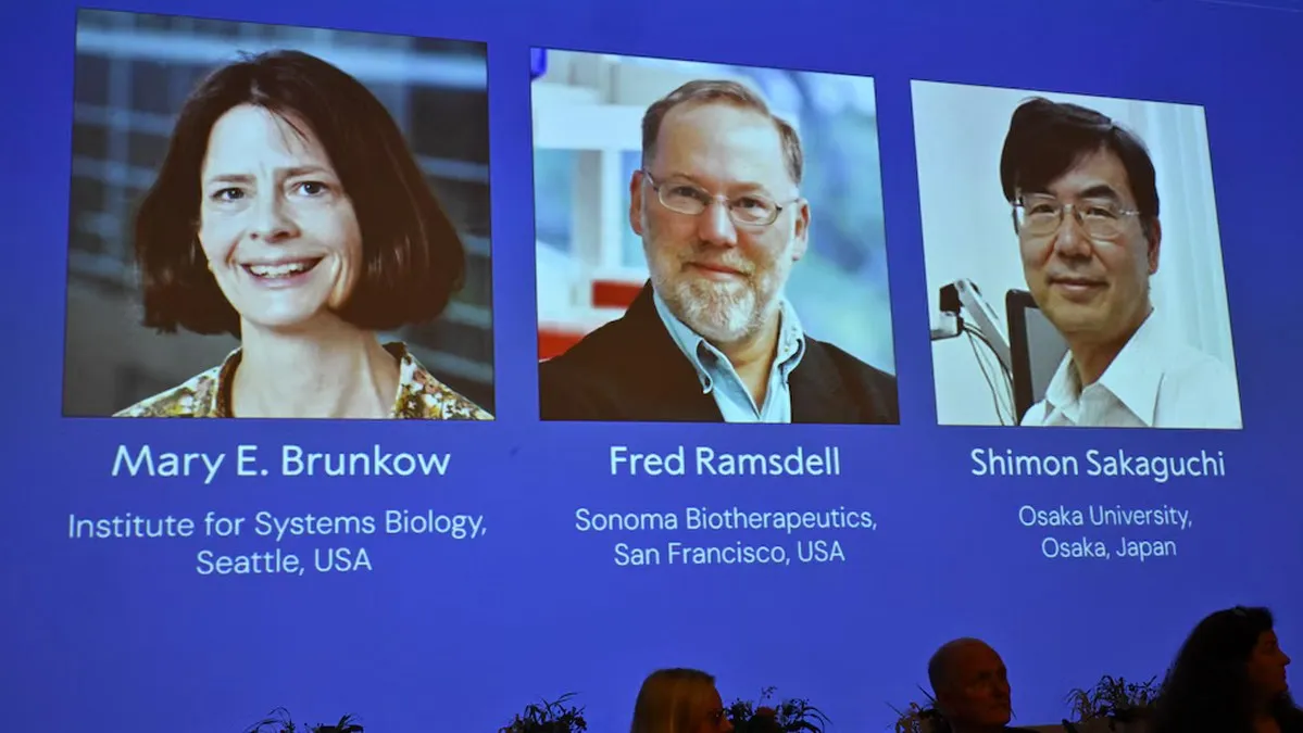 Nobel de Medicina a Brunkow, Ramsdell y Sakaguchi por resolver el misterio de las enfermedades autoinmunes