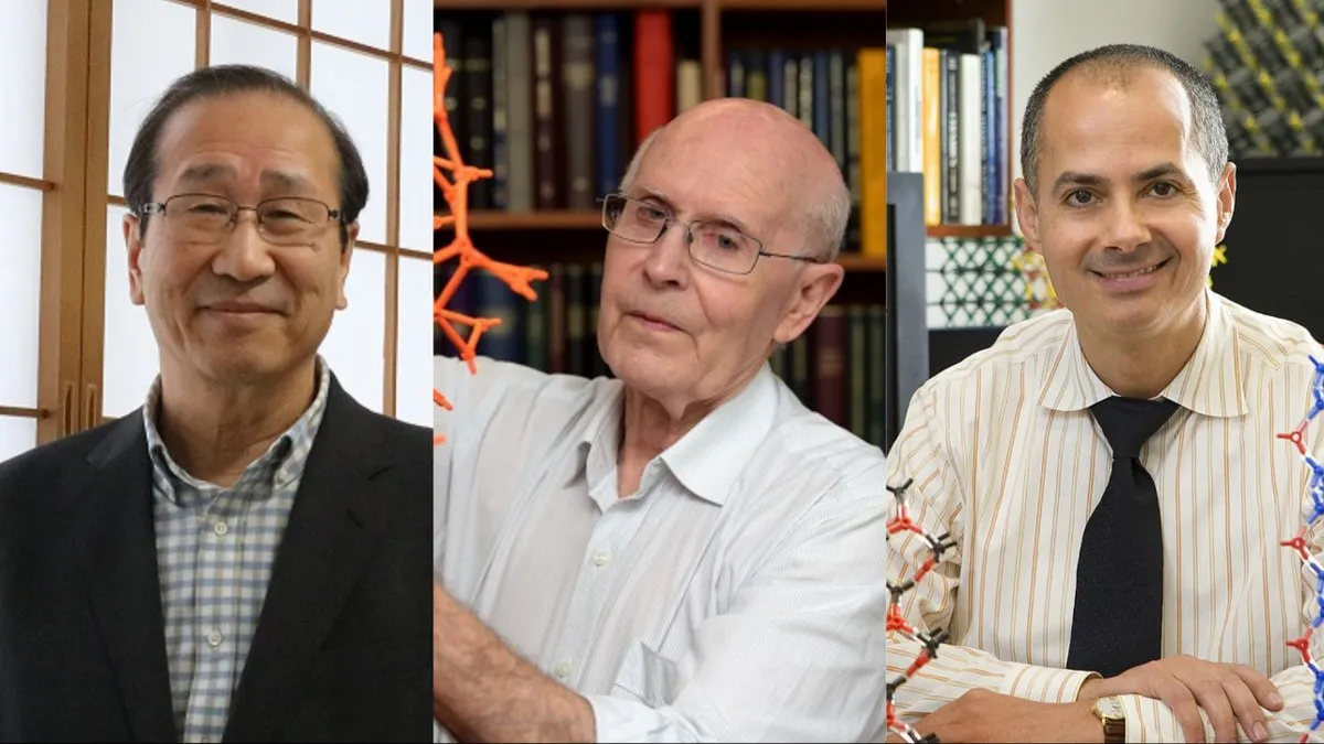 Premios Nobel de Química: el 'Bolso de Hermione' molecular que desafía los mayores problemas de la humanidad