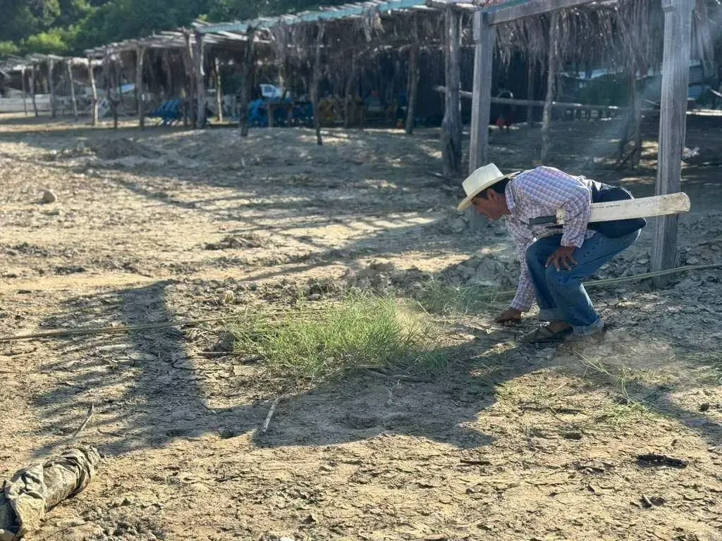 Inician trabajos de embellecimiento en Punta Maldonado, Maravilla del Hogar del Sol