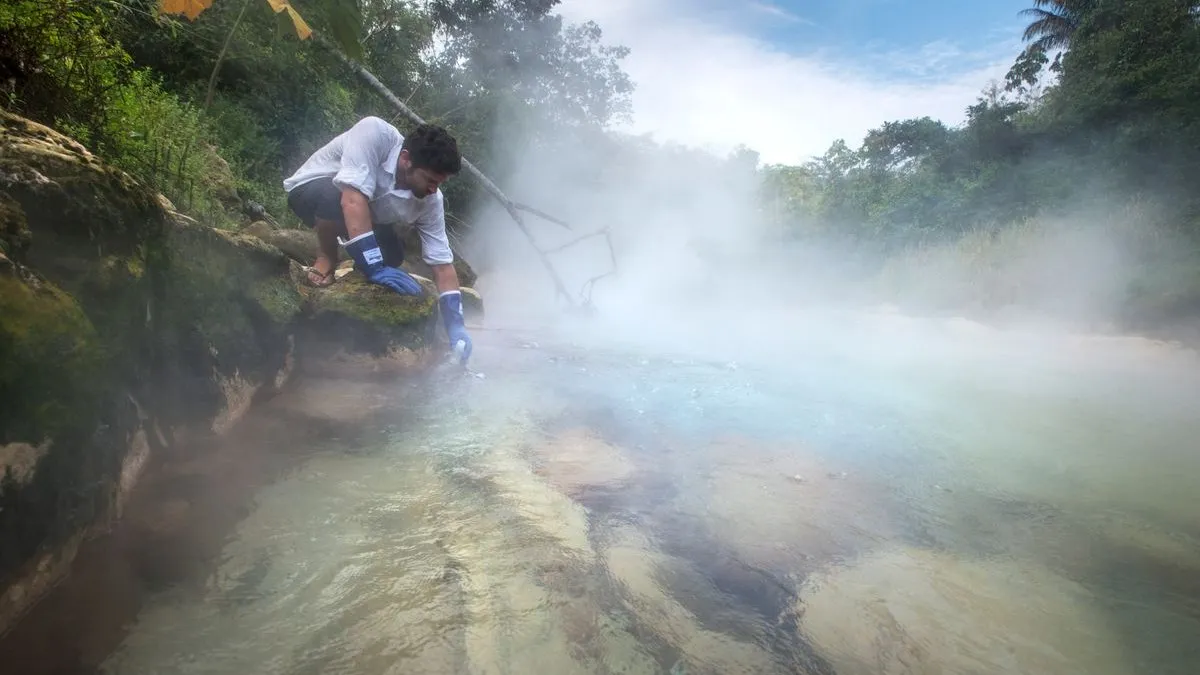 Calor extremo en el Amazonas provoca muerte masiva de delfines y peces