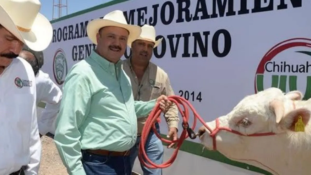 Cae el “imperio ganadero” de César Duarte: FGR lo acusa de lavar 76 millones desviados del erario