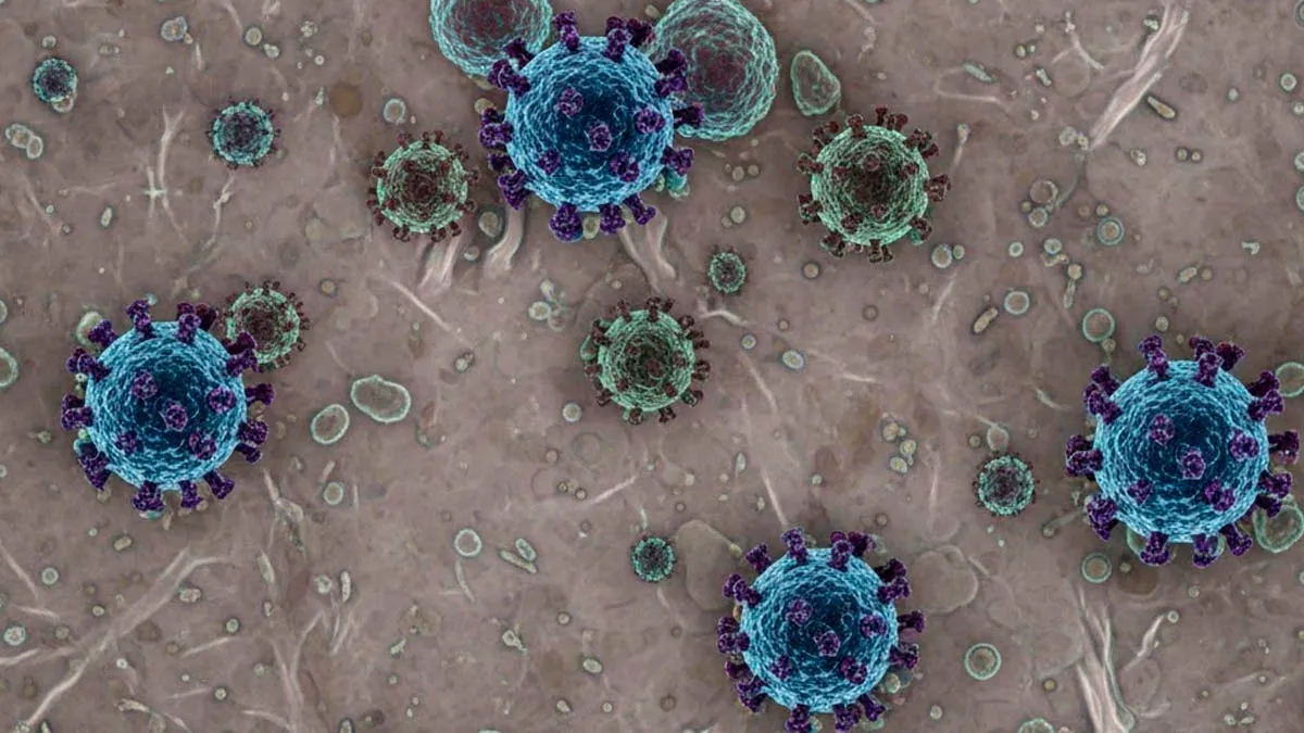 ¿Hay cura? ¿Cómo se contagia? Esto se sabe de la influenza A H3N2, subclado K