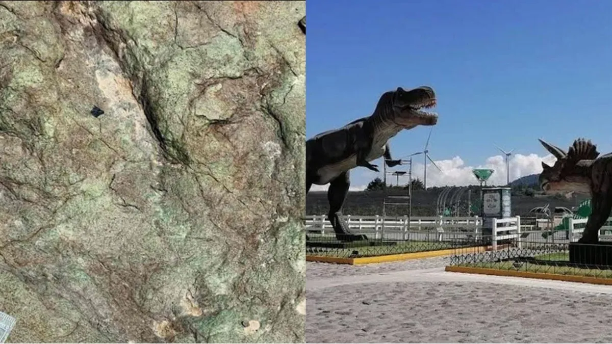 Descubren nuevas huellas de dinosaurios de 120 millones de años en Tehuacán-Cuicatlán