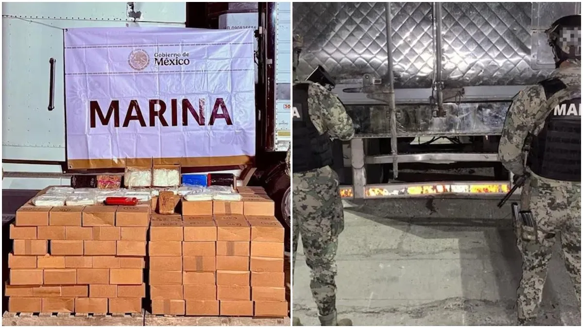 Mazatlán: más de 600 kilos de drogas viajaban ocultos bajo un tractocamión; Marina lo incauta