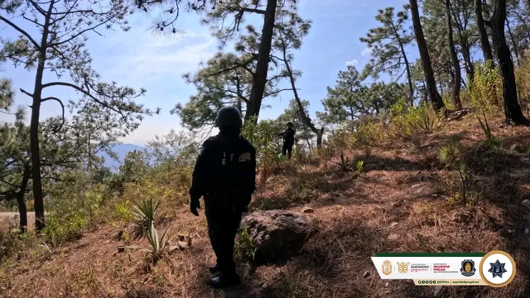 Reportan 11 detenciones y aseguramientos de droga y vehículos en Guerrero