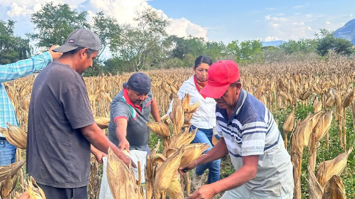 Crece 3.4 % la economía de Guerrero pese a caída del campo