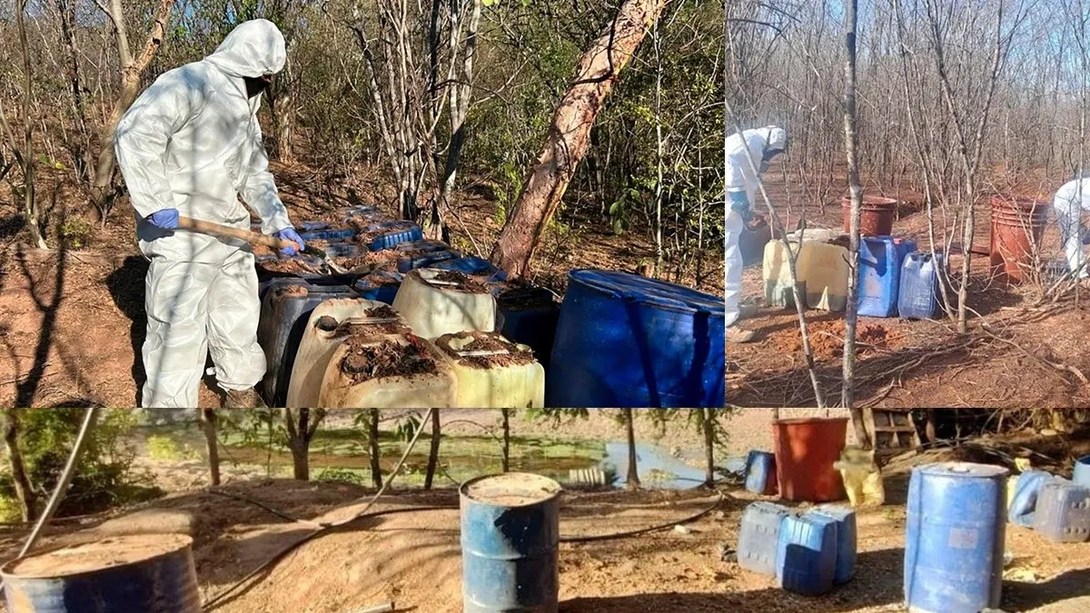 Más de 20 mil litros de químicos y decenas de armas: el mayor golpe a narcolaboratorios en Sinaloa